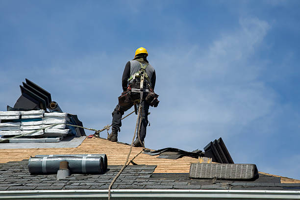 Professional Roofing technician working in Long Creek, IL